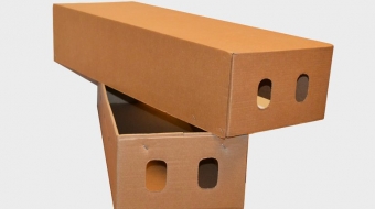 flower-box.2e16d0ba.fill-768x500