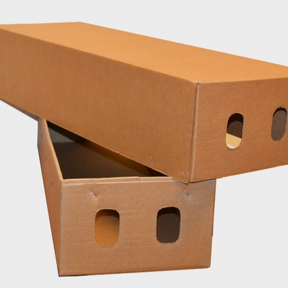 flower-box.2e16d0ba.fill-768x500