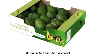 Avocado tray-1