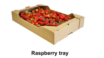 Raspberry tray-1
