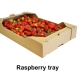 Raspberry tray-1