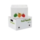 Vegetable box-1